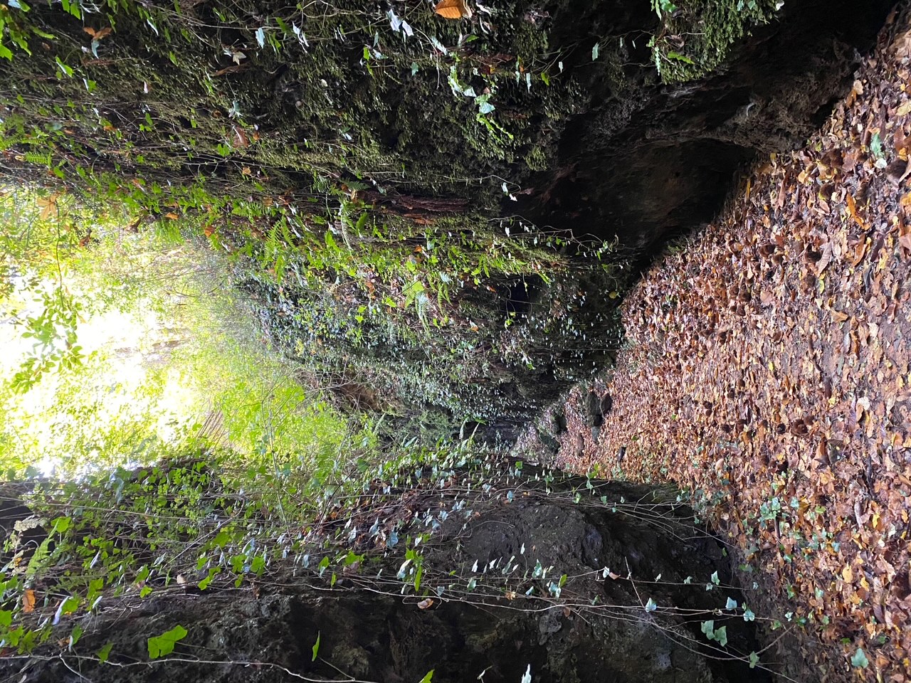 SUTRIUM ETRUSCA ROMANA