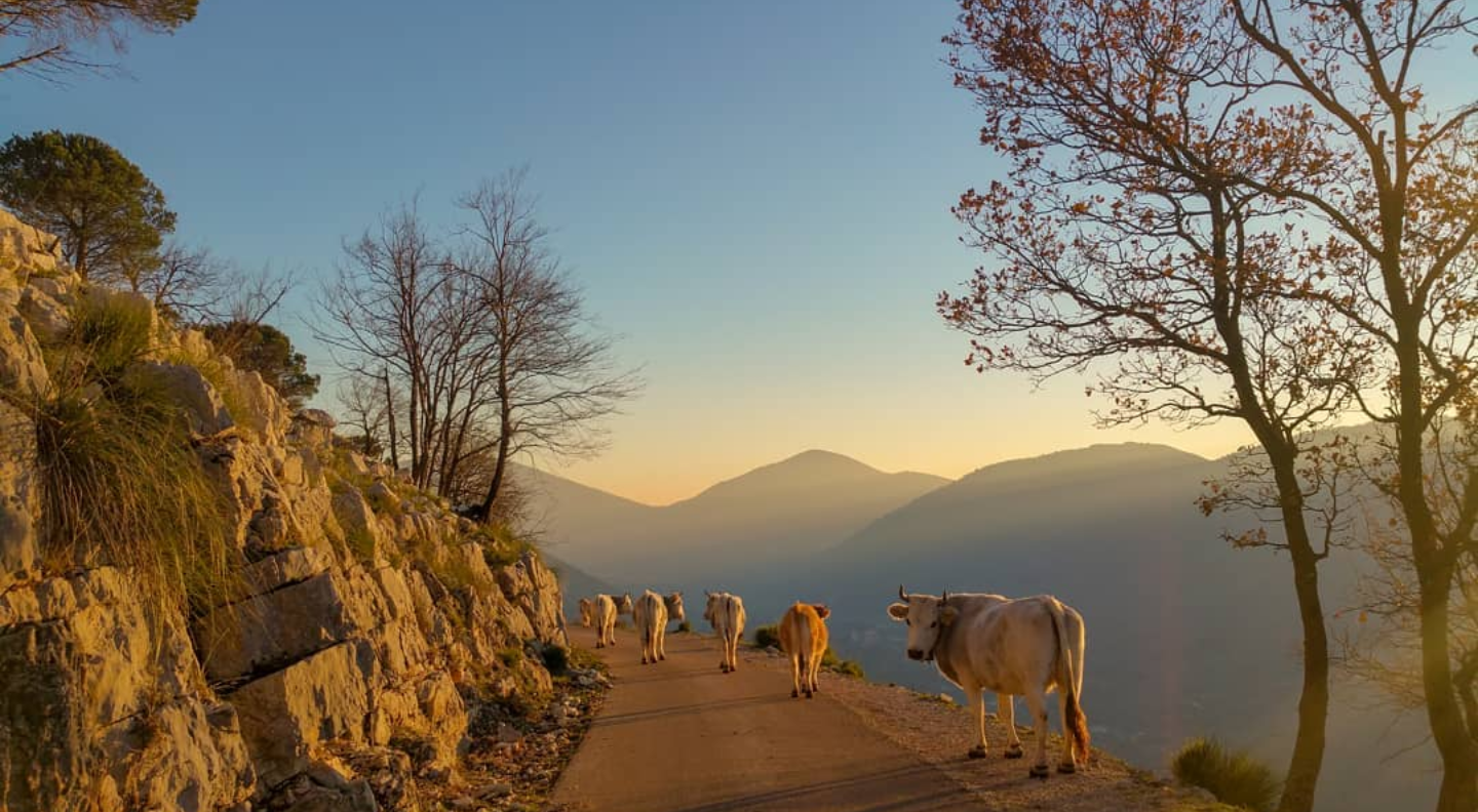 la "migliore" foto del 2018
