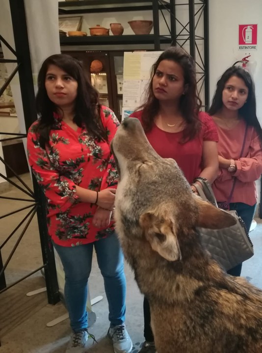 Insegnare la sostenibilità