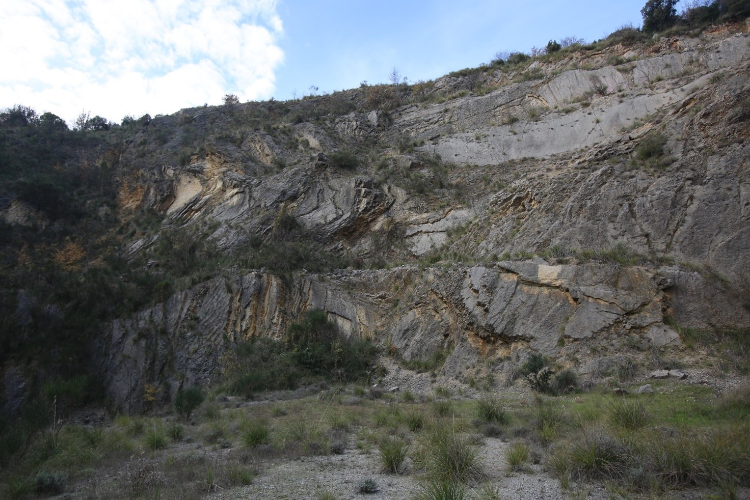 9-Strutture sedimentarie e pieghe nella "Corniola" in loc. Quattroventi