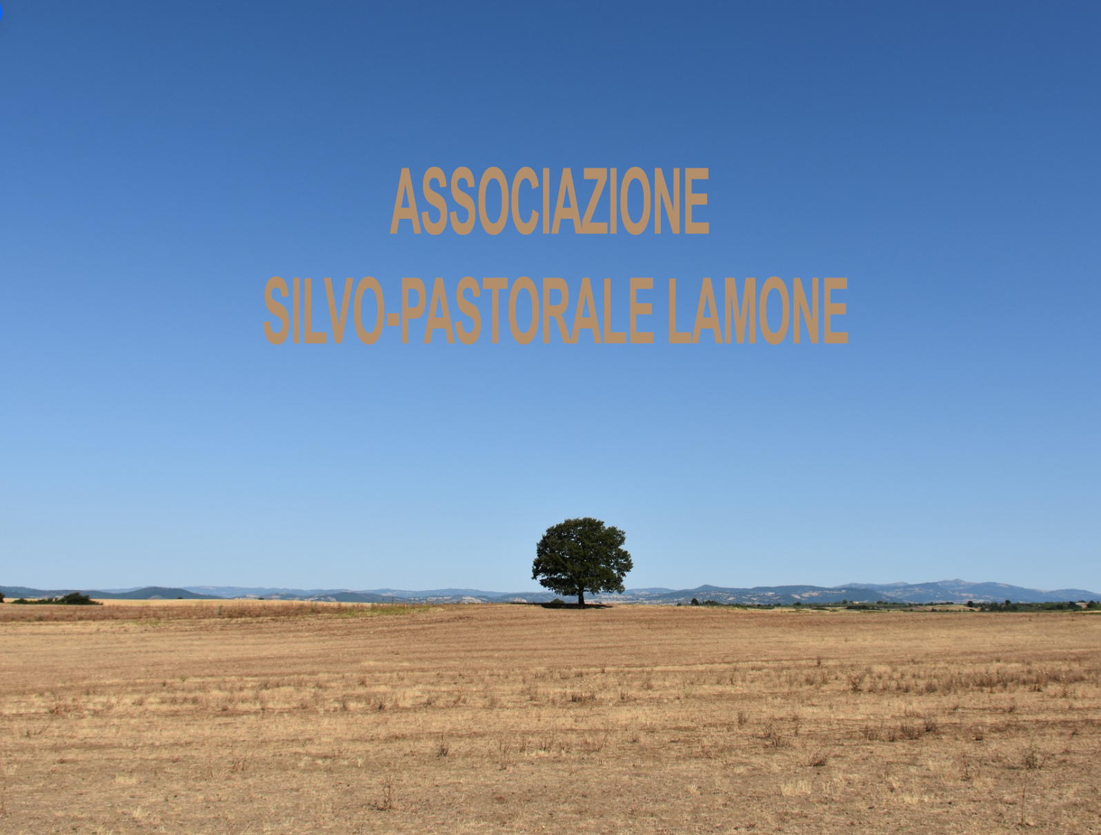 Associazione Silvo-Pastorale Lamone