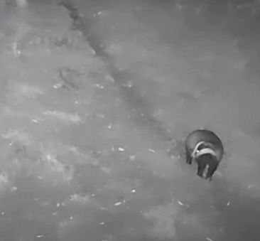 Clicca sull'immagine per vedere il video