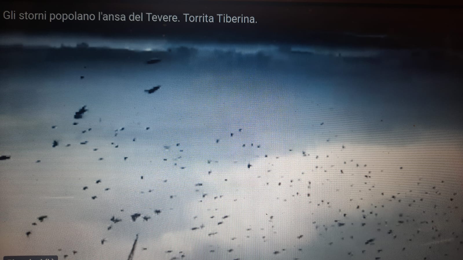 video di Pablo Rojas