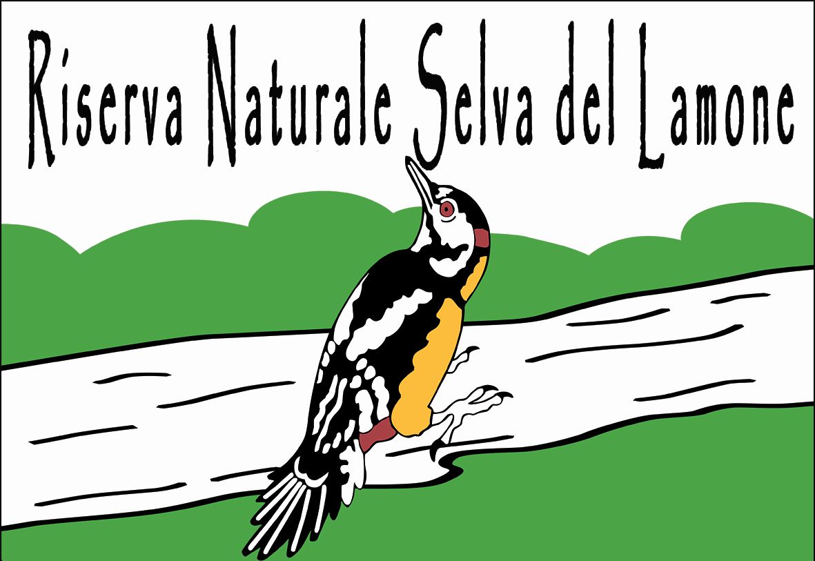 INFORMAZIONI SUL TERRITORIO DELLA SELVA DEL LAMONE