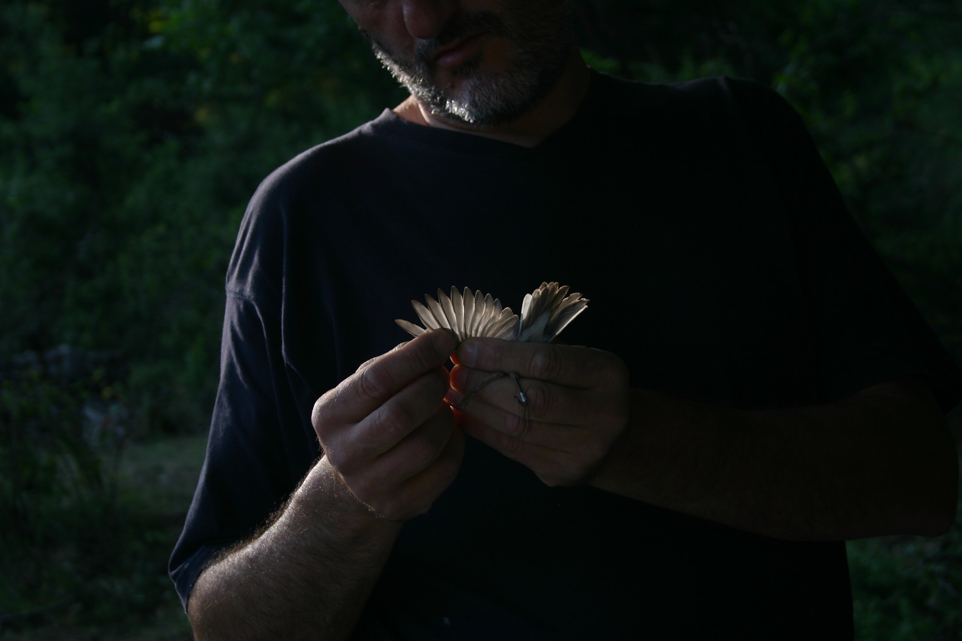 Inanellatore all'opera