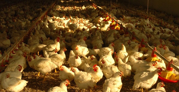 Foto da www.regione.lazio.it