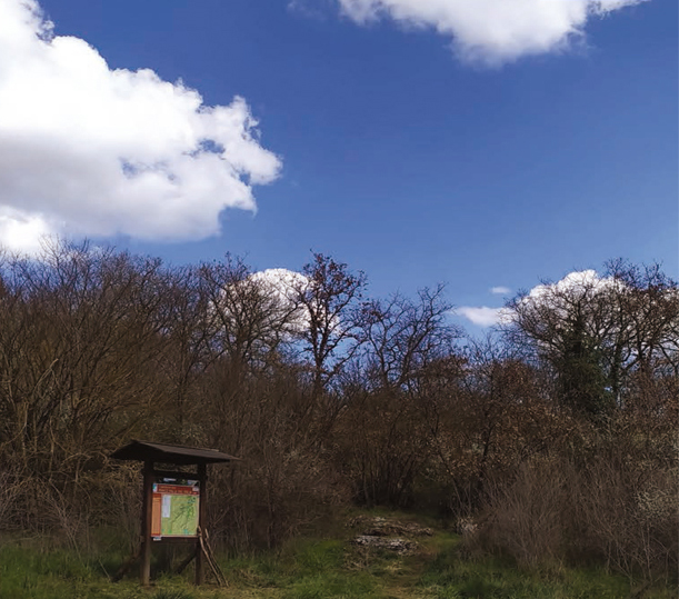 001 Fossi della Mola di Monte Gelato
