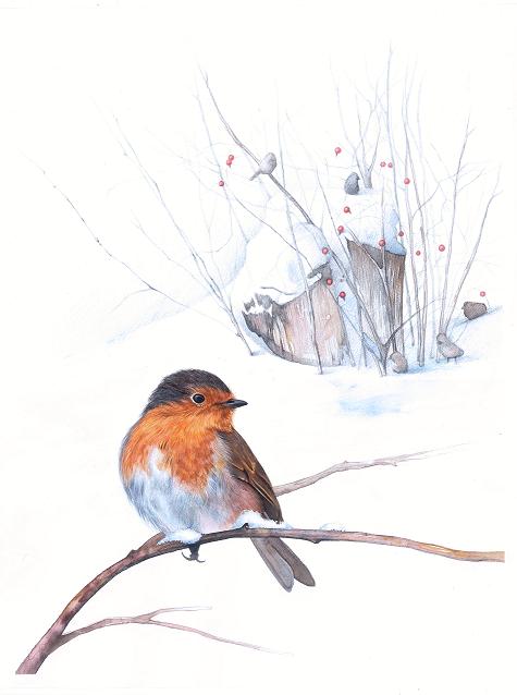 Disegno di Alessandra Razzi dall'edizione 2014 del concorso dedicato a Maria Vittoria Croce "La natura con gli occhi del cuore"