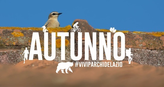 L'Avifauna del Parco regionale dei Castelli Romani