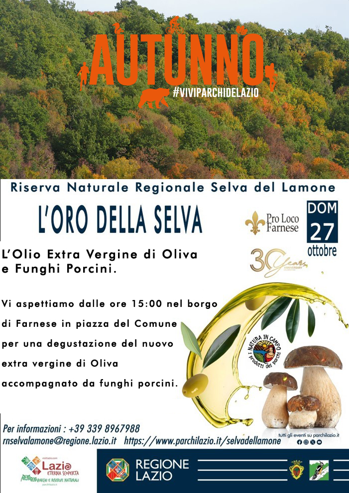 L'ORO DELLA SELVA