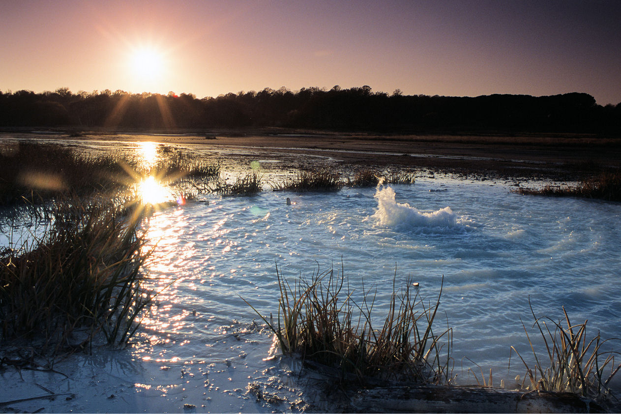 Caccia alle lucciole alla Caldara al tramonto - TESORI NATURALI 2026