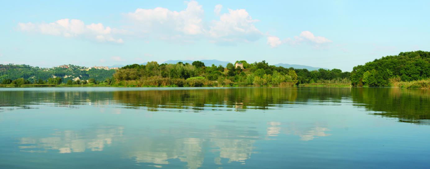 Progetto per monitoraggi, censimenti, studi e ricerche relativi agli uccelli acquatici e monitoraggio dello stato di conservazione degli habitat nella R.N.R. Tevere Farfa 2011