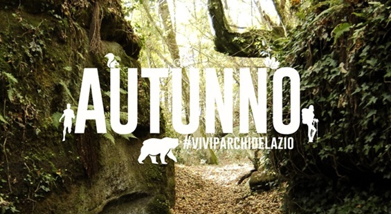 La Necropoli Rupestre del Maschio D'Ariano