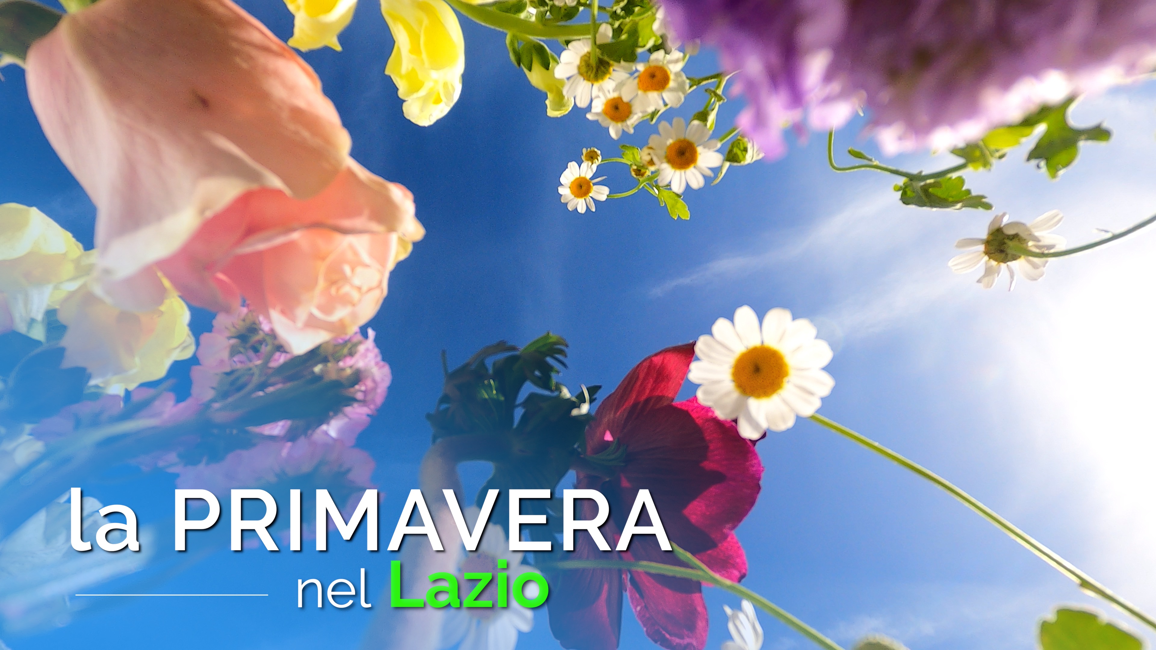 primavera dei Parchi: escursioni del 7 e 14 Giugno