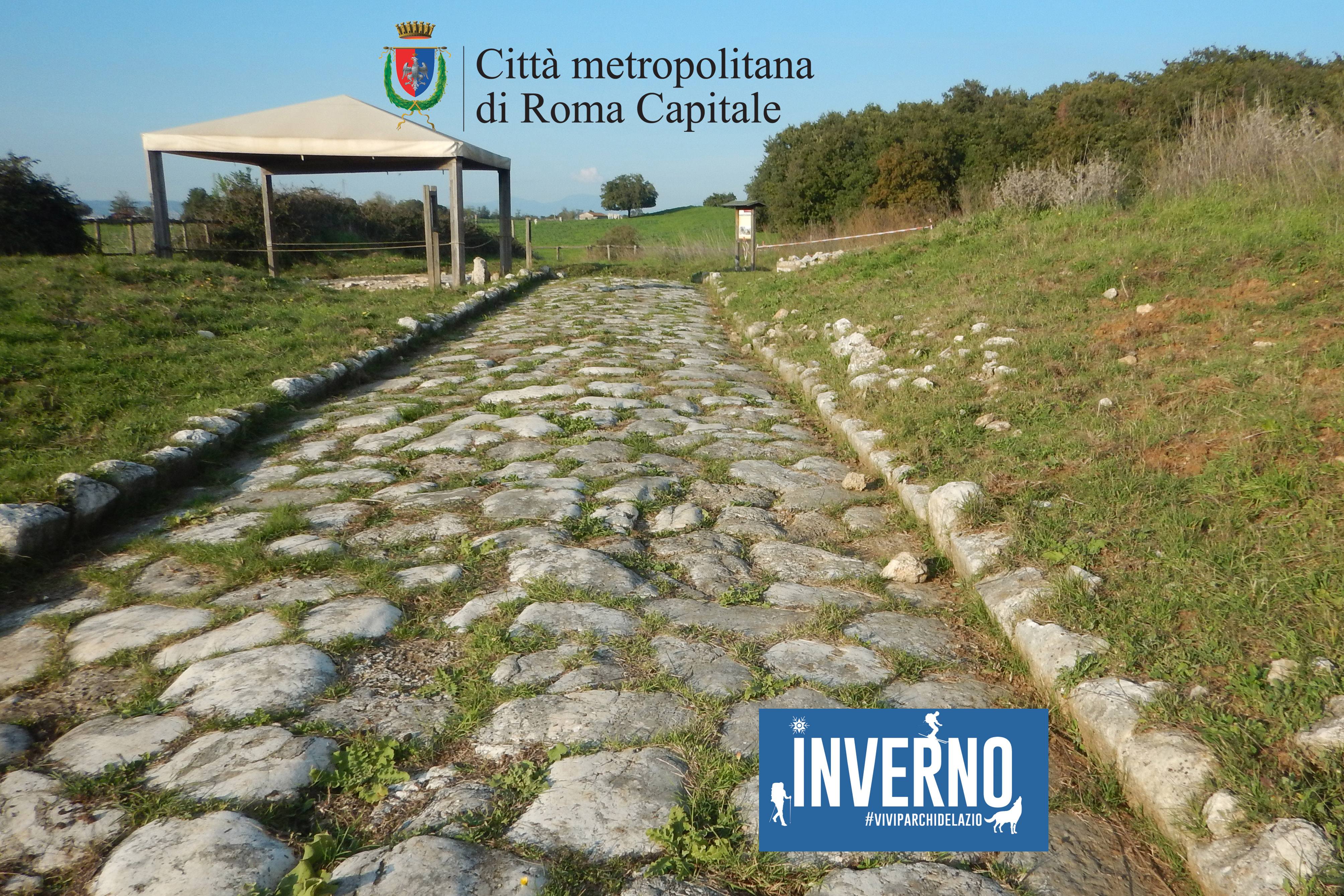 Visita all'area archeologica della via Nomentum-Eretum