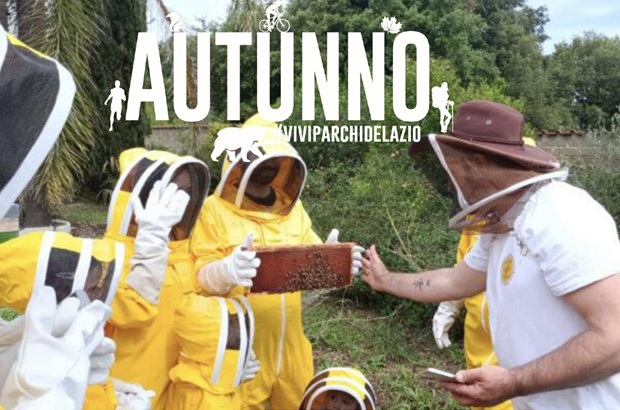 La vita dell'alveare