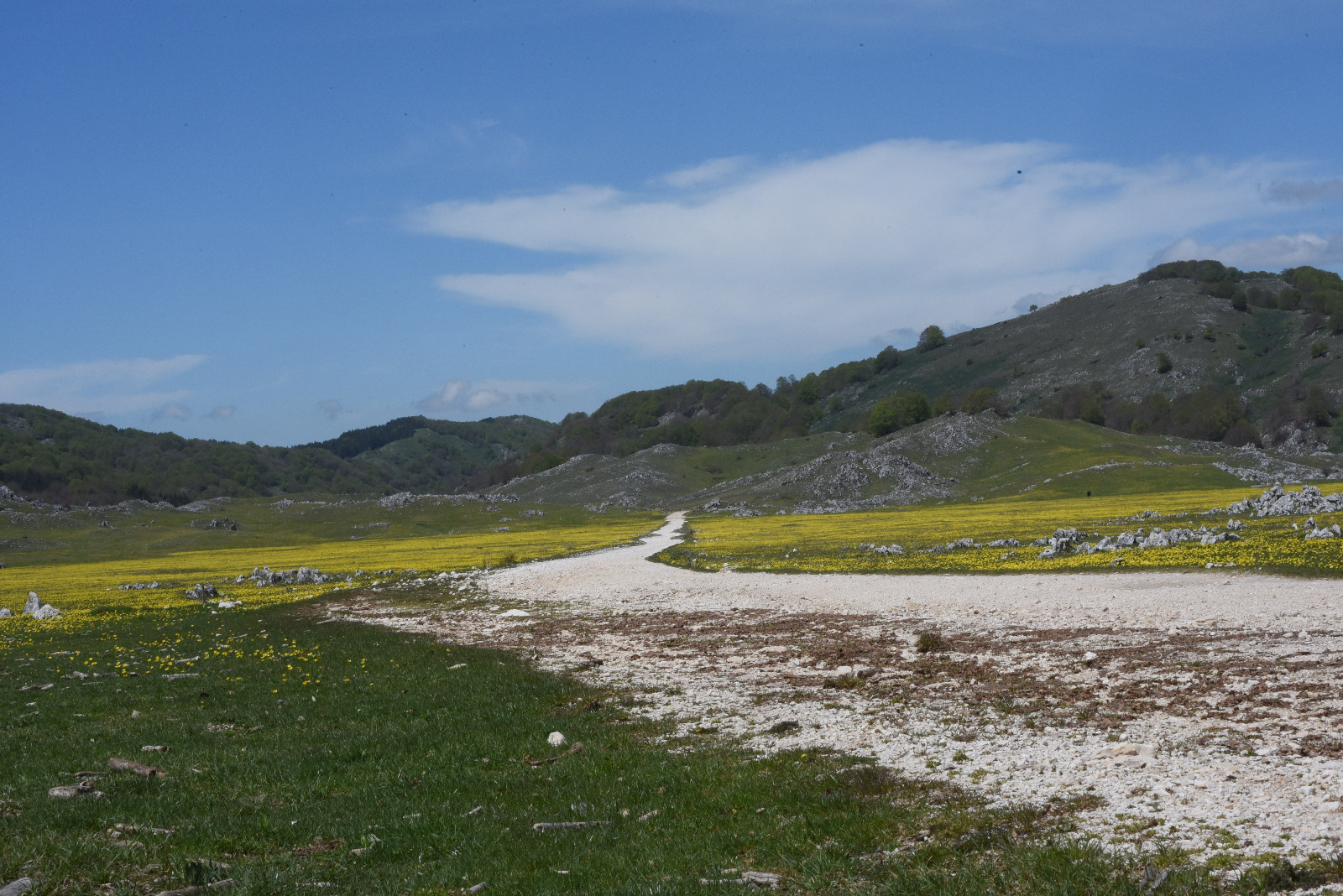 MTB 16. Camerata Nuova - Campo Secco - Piana di Campaegli - Campo Secco - Camerata Nuova