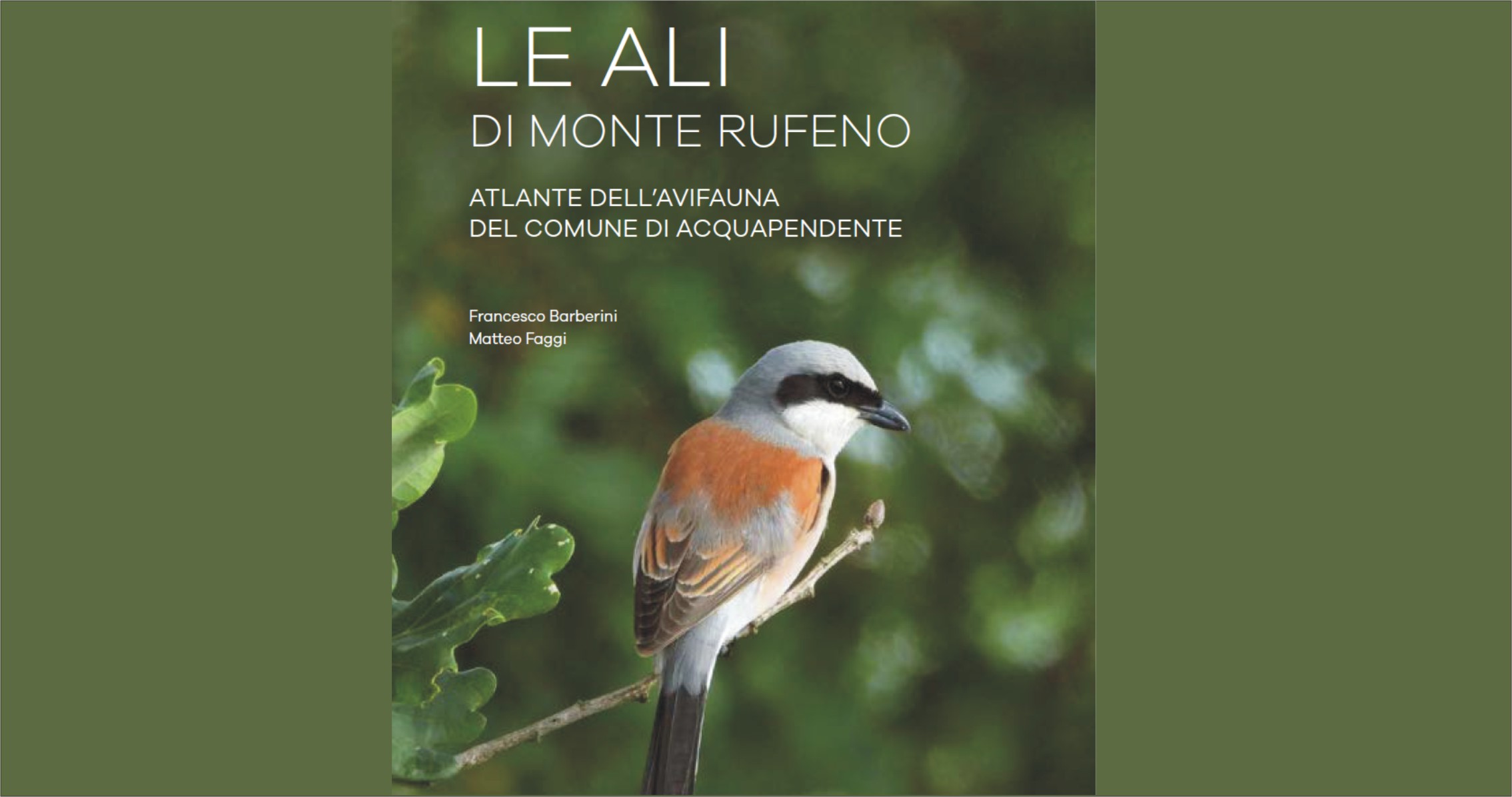 LE ALI DI MONTE RUFENO