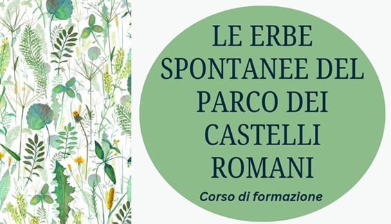 Le Erbe Spontanee del Parco dei Castelli Romani