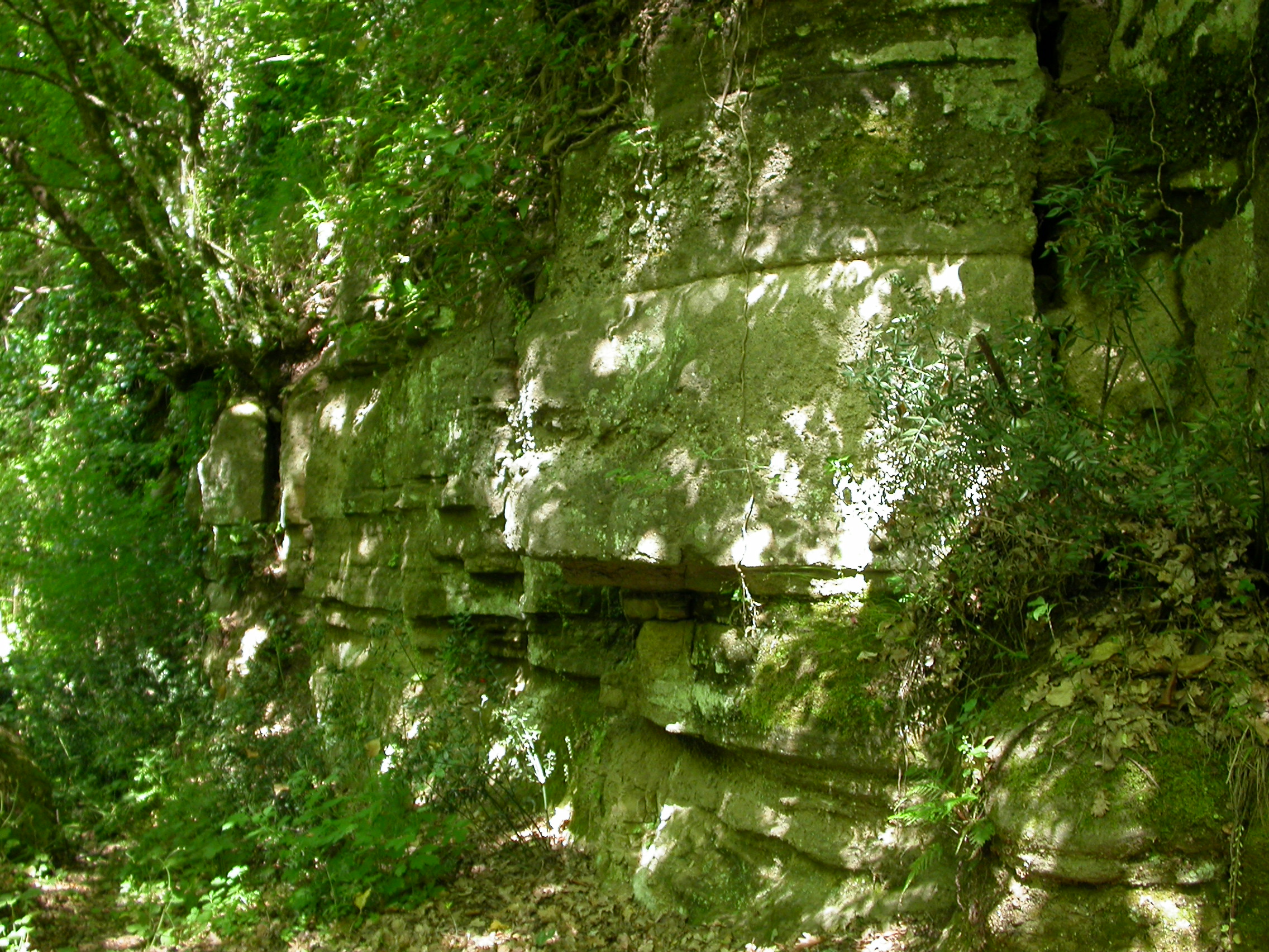 Strati di rocce tufacee - foto Archivio Parco