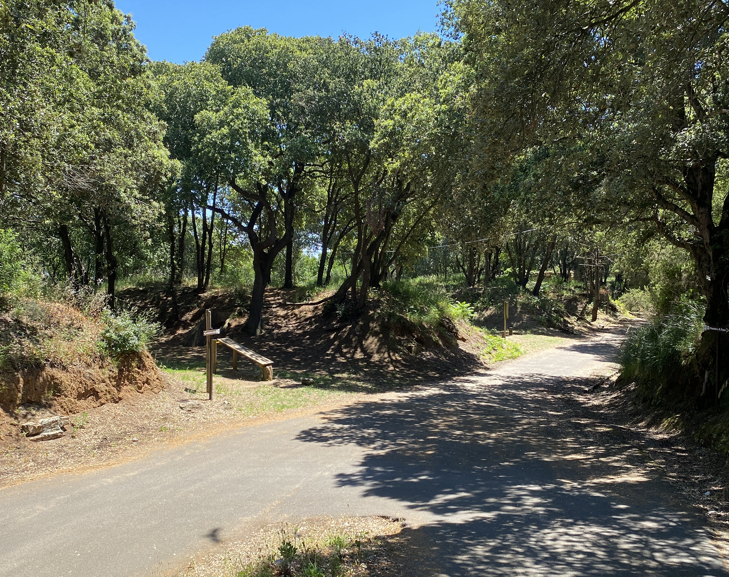 Sentiero di Monte Orlando - Percorso CAI LH17