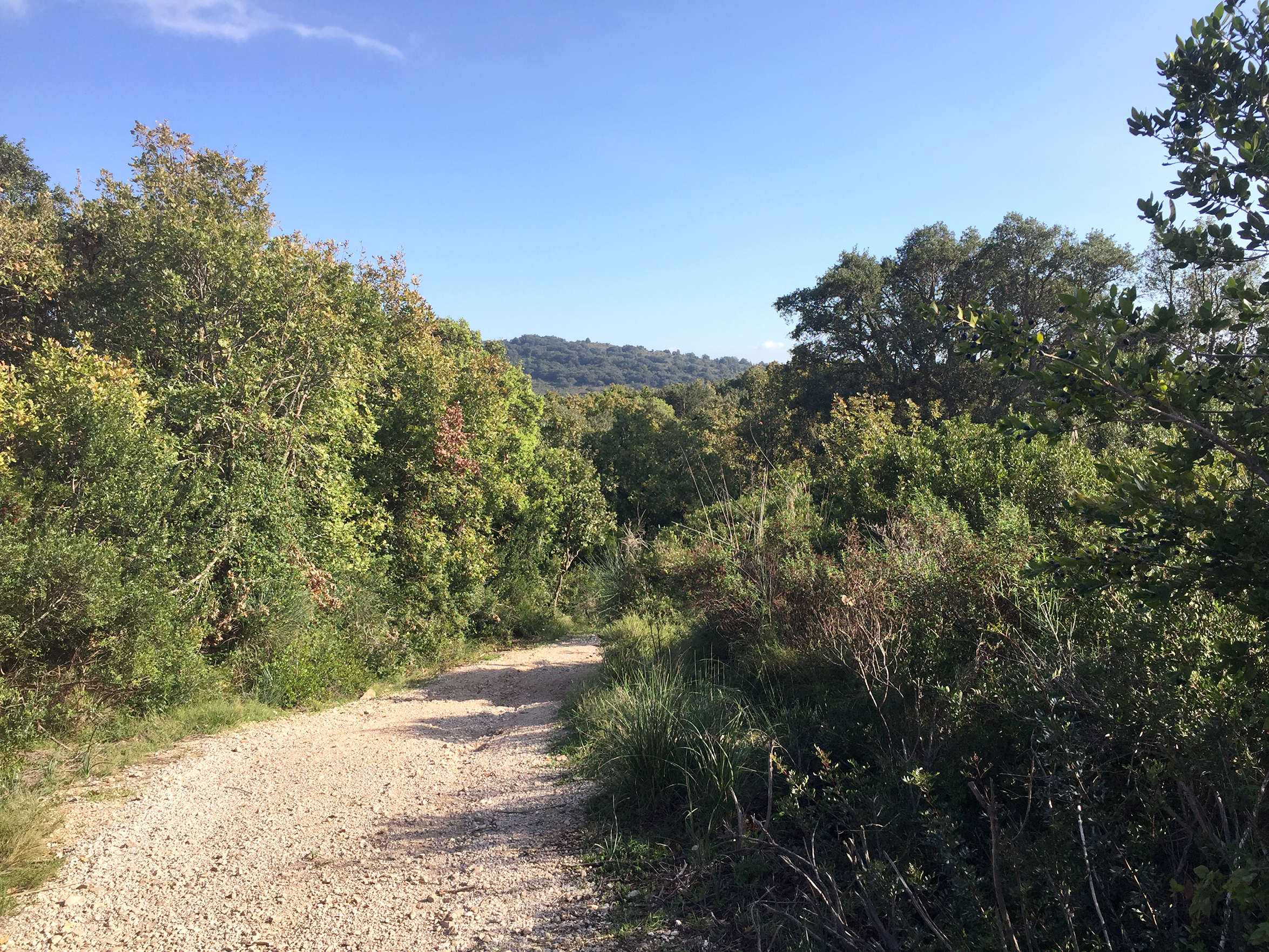 Sentiero di via Porticciolo Romano - Percorso CAI LH17