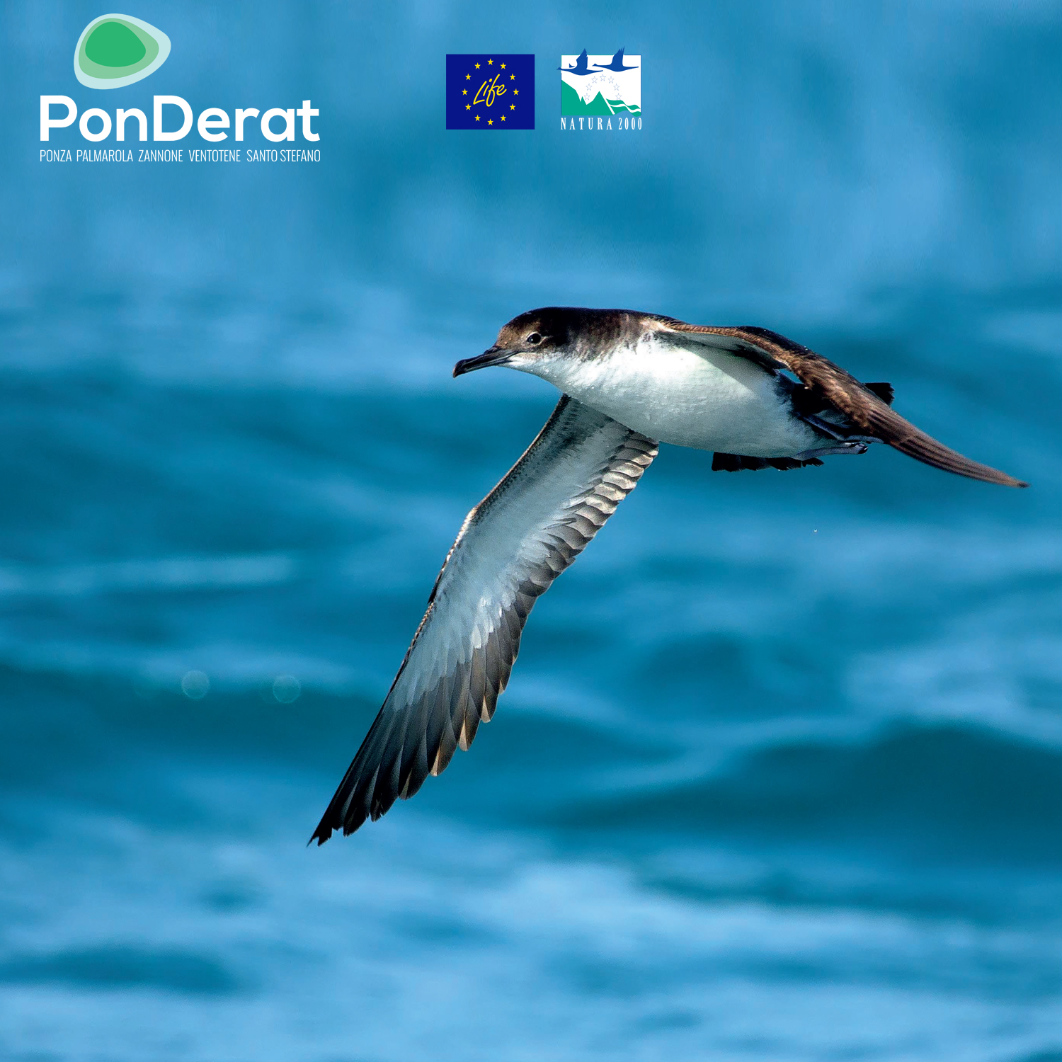 Foto di Mario Vannozzi