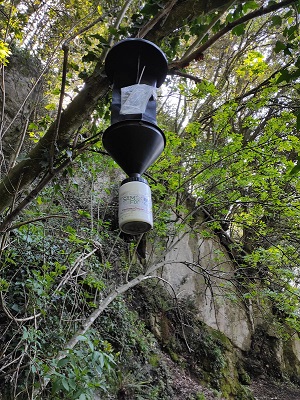 Strumenti per il monitoraggio