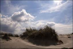 R.N.S. Litorale Romano: BiosfIera - Attività e Prodotti Sostenibili