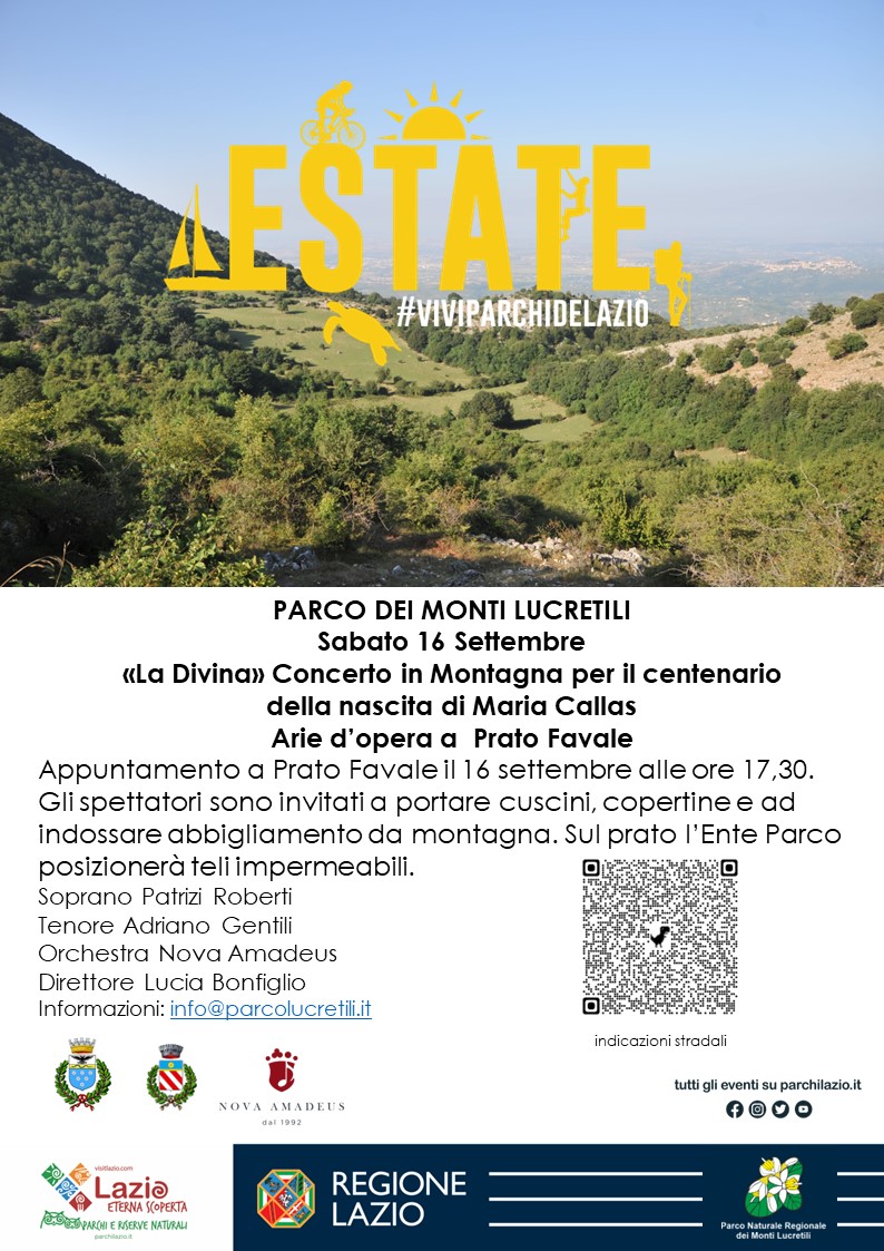 locandina concerto