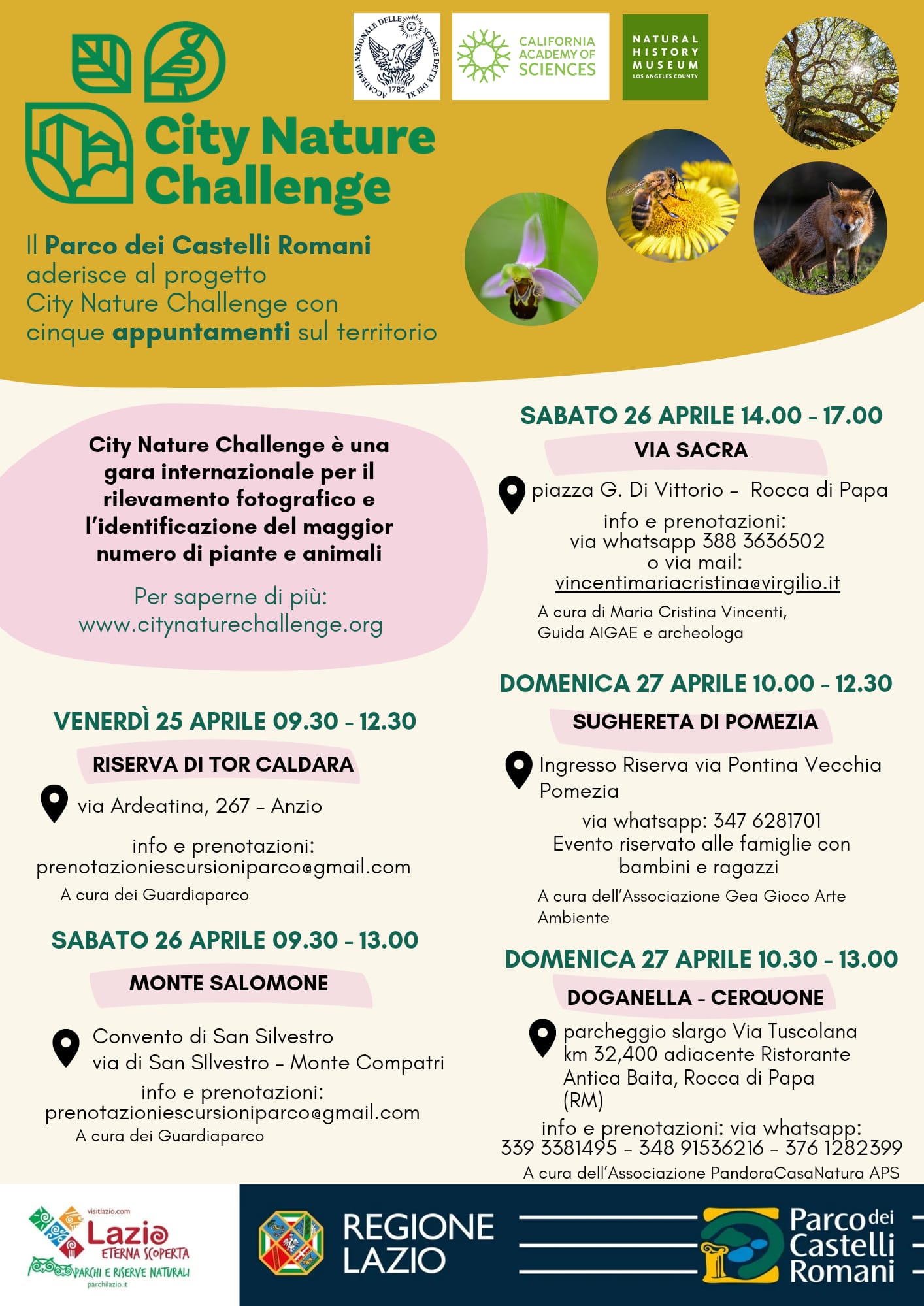 City Nature Challenge 2025