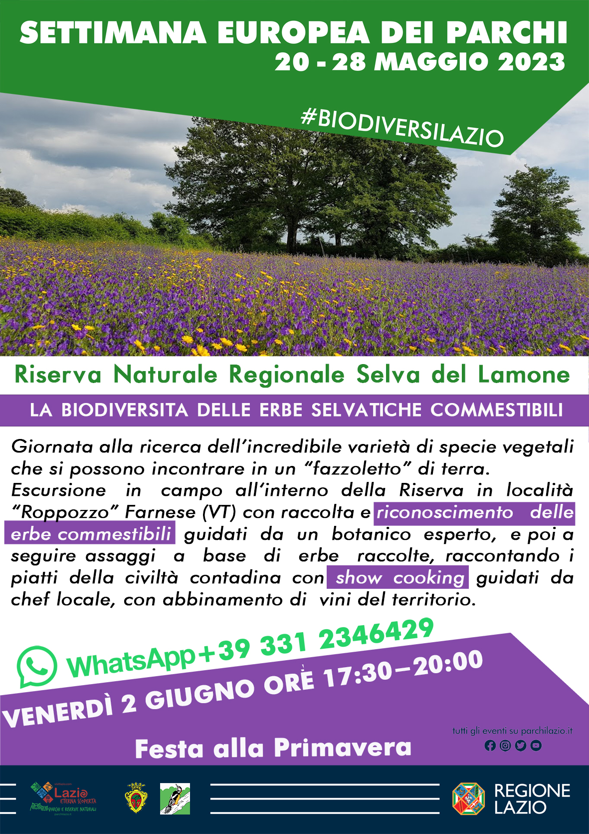 Biodiversità erbe di campo Show cooking
