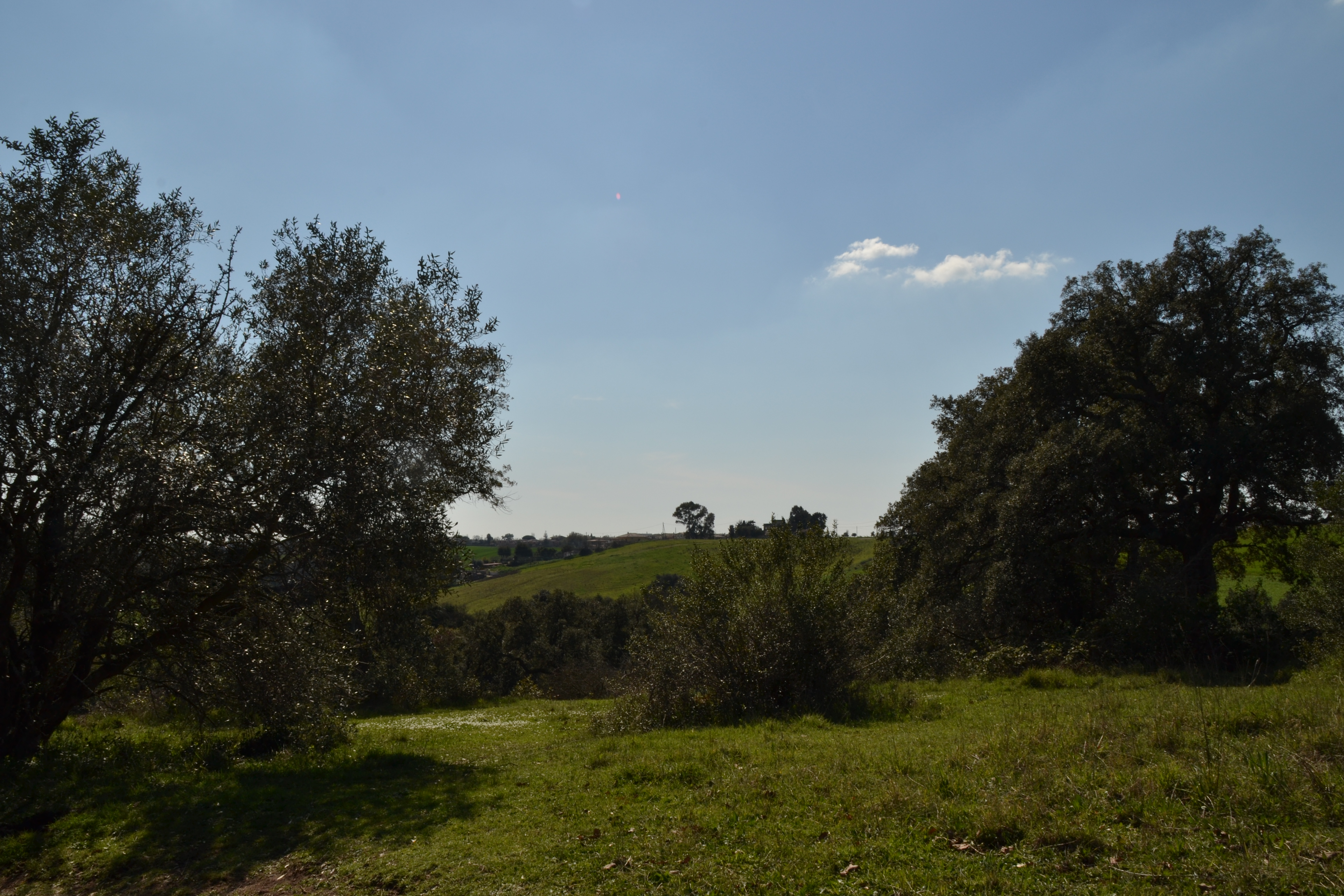 Foto di Daniela Russo Fiorillo