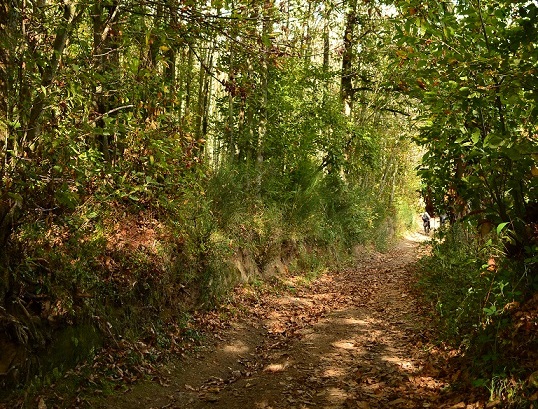 Foto di Daniela Russo Fiorillo