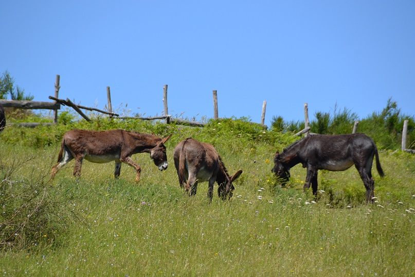 Foto di Daniela Russo Fiorillo