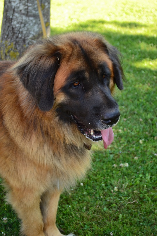 Foto di Daniela Russo Fiorillo