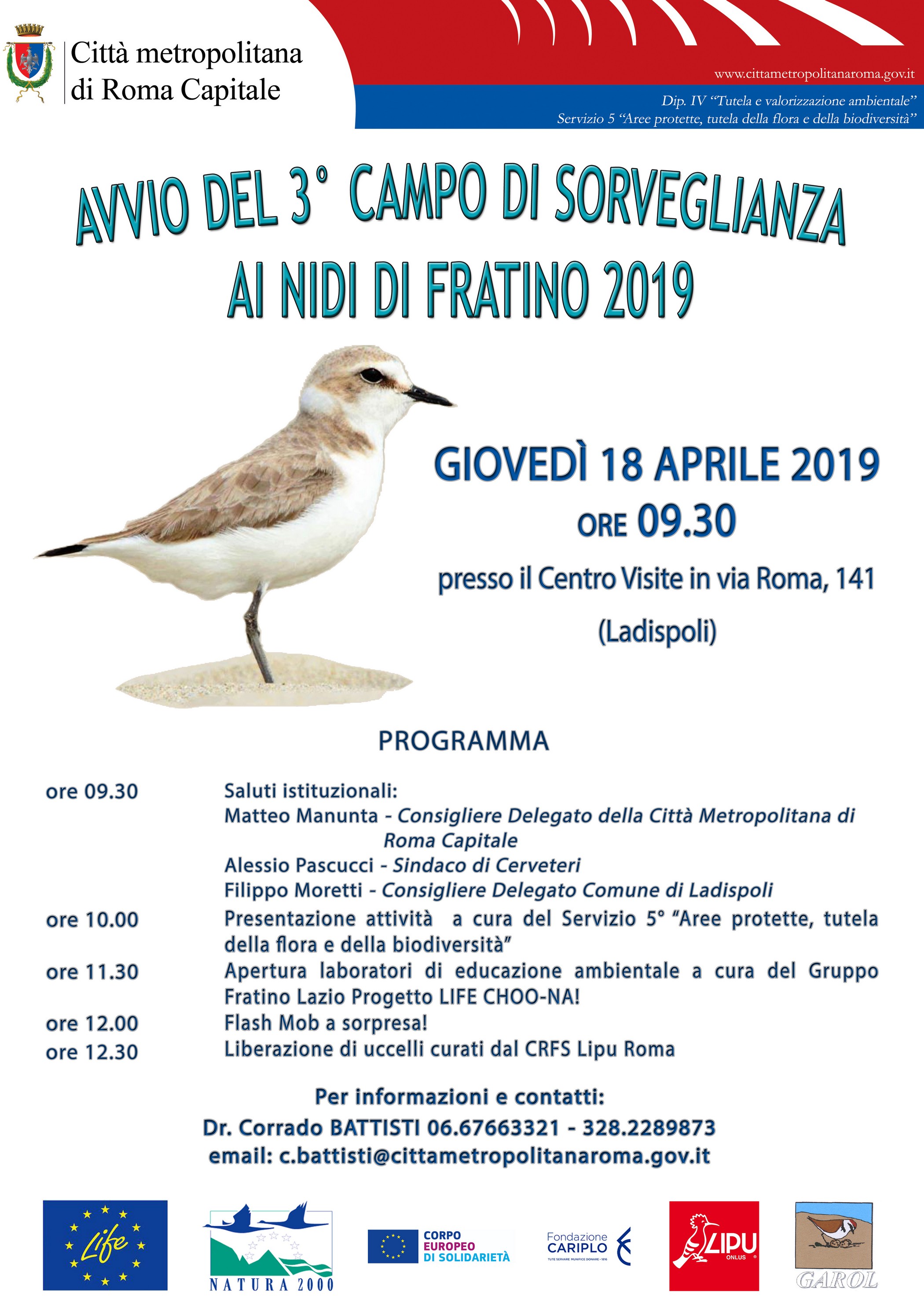 Terzo campo di sorveglianza dei nidi di Fratino presso la Palude di Torre Flavia