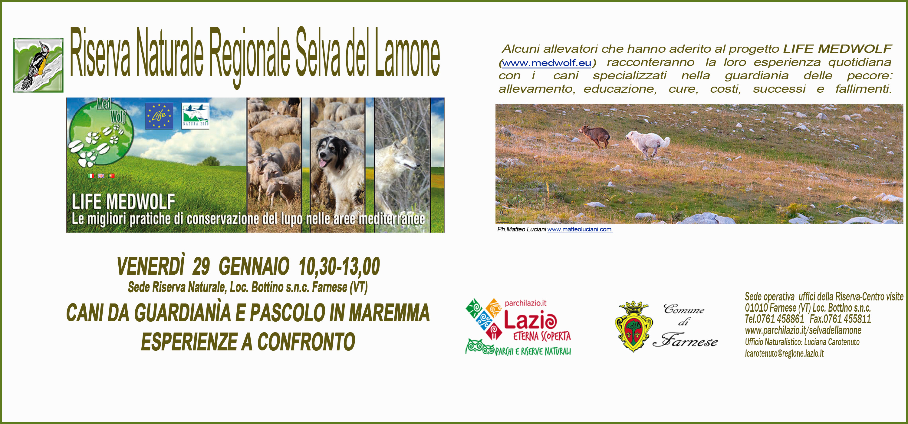 I cani da guardianìa come strumento di difesa attiva del gregge