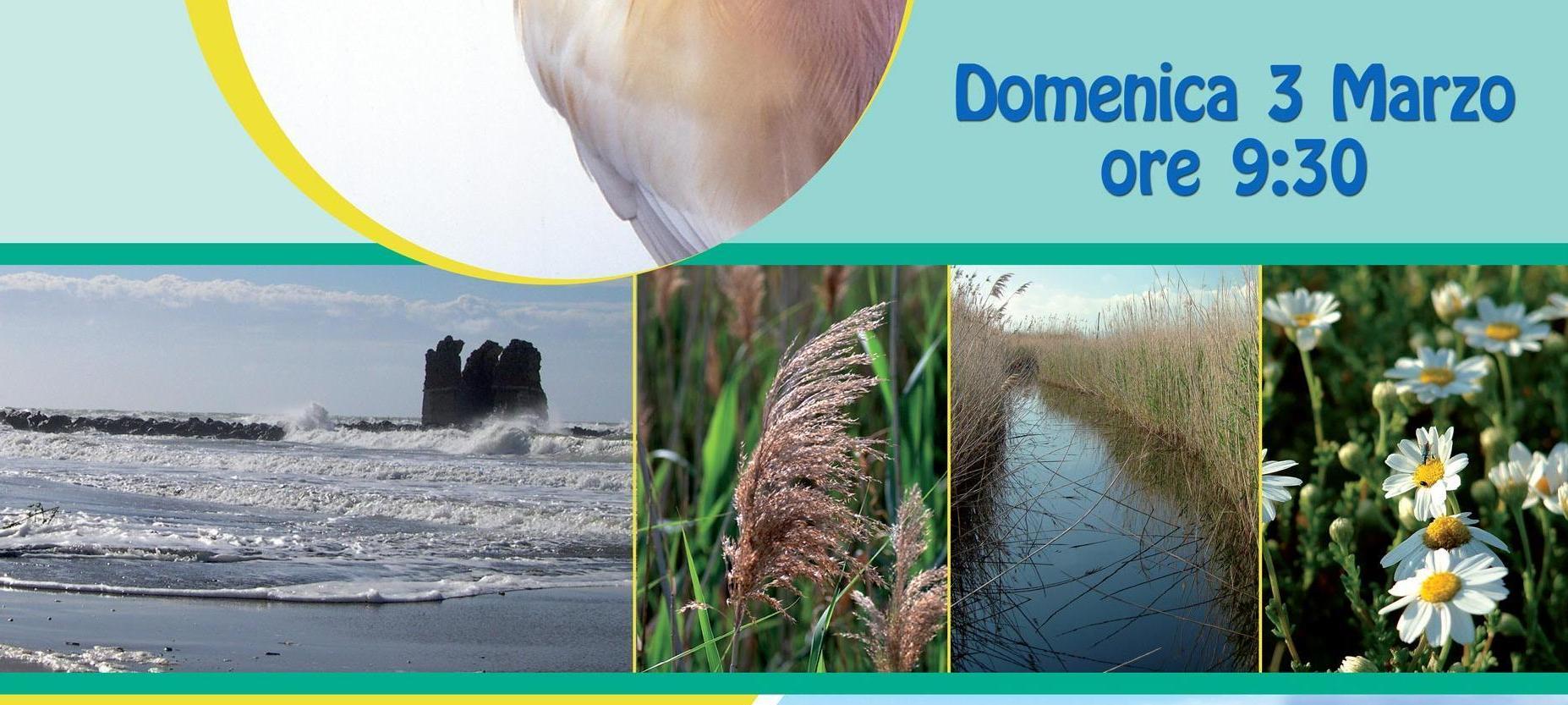 Plastic blitz alla Palude di Torre Flavia