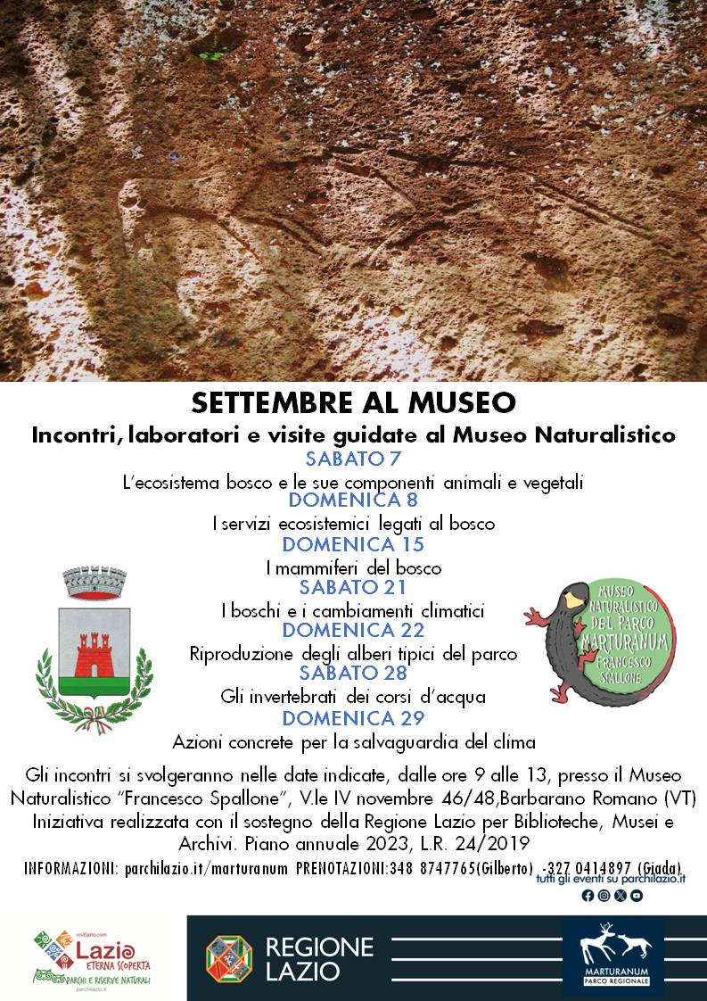 programma dei laboratori settembre 2024