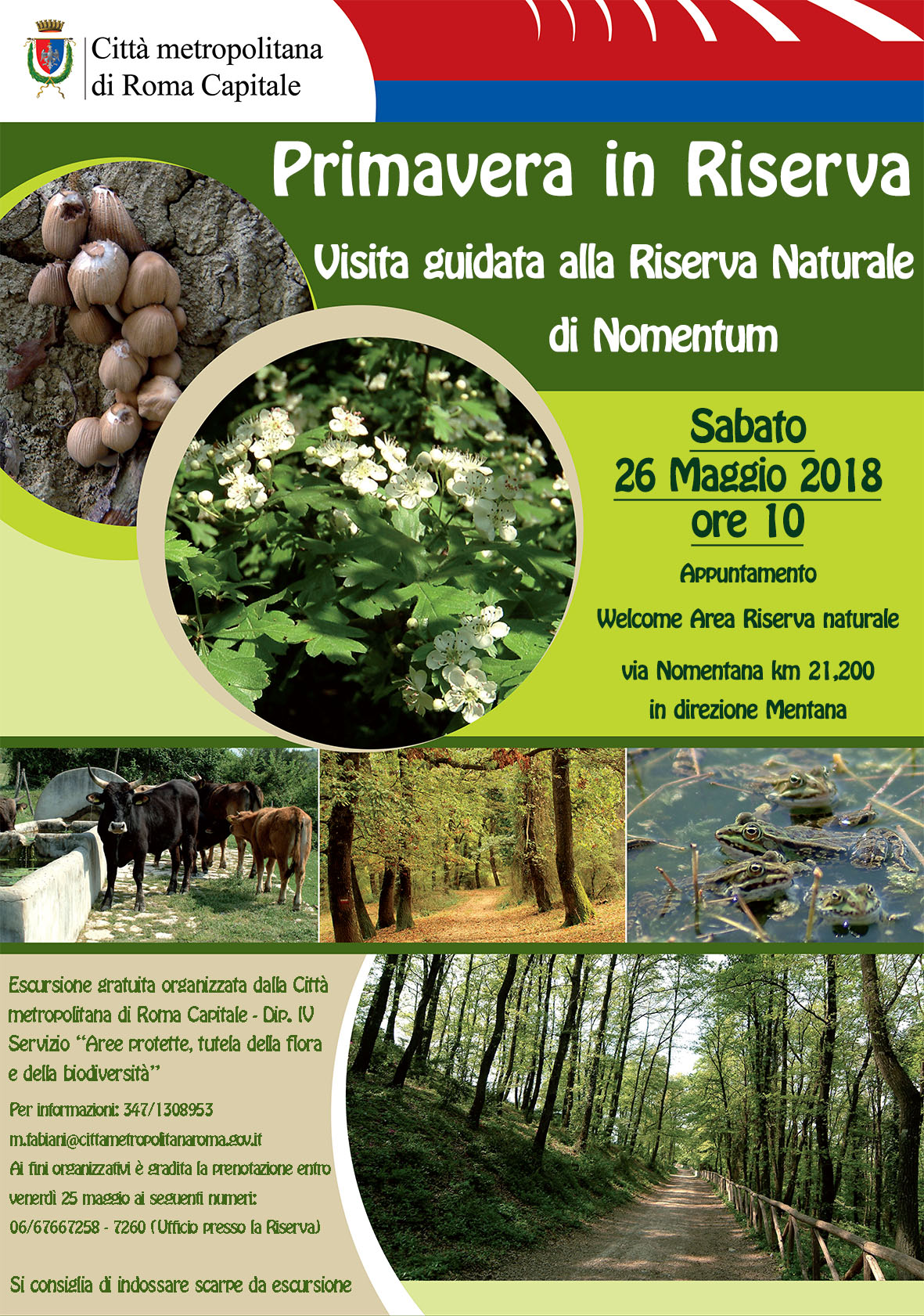 Visita Guidata Nomentum