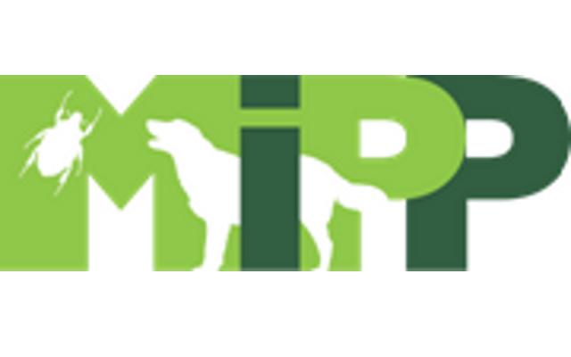 MIPP