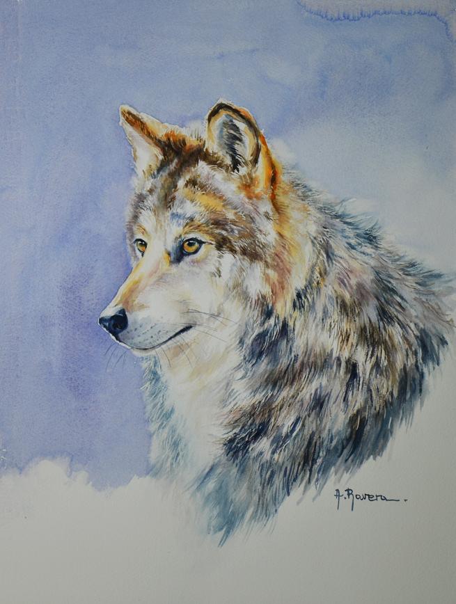 Disegno di Anna Ravera