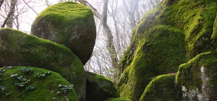 Formazioni vulcaniche