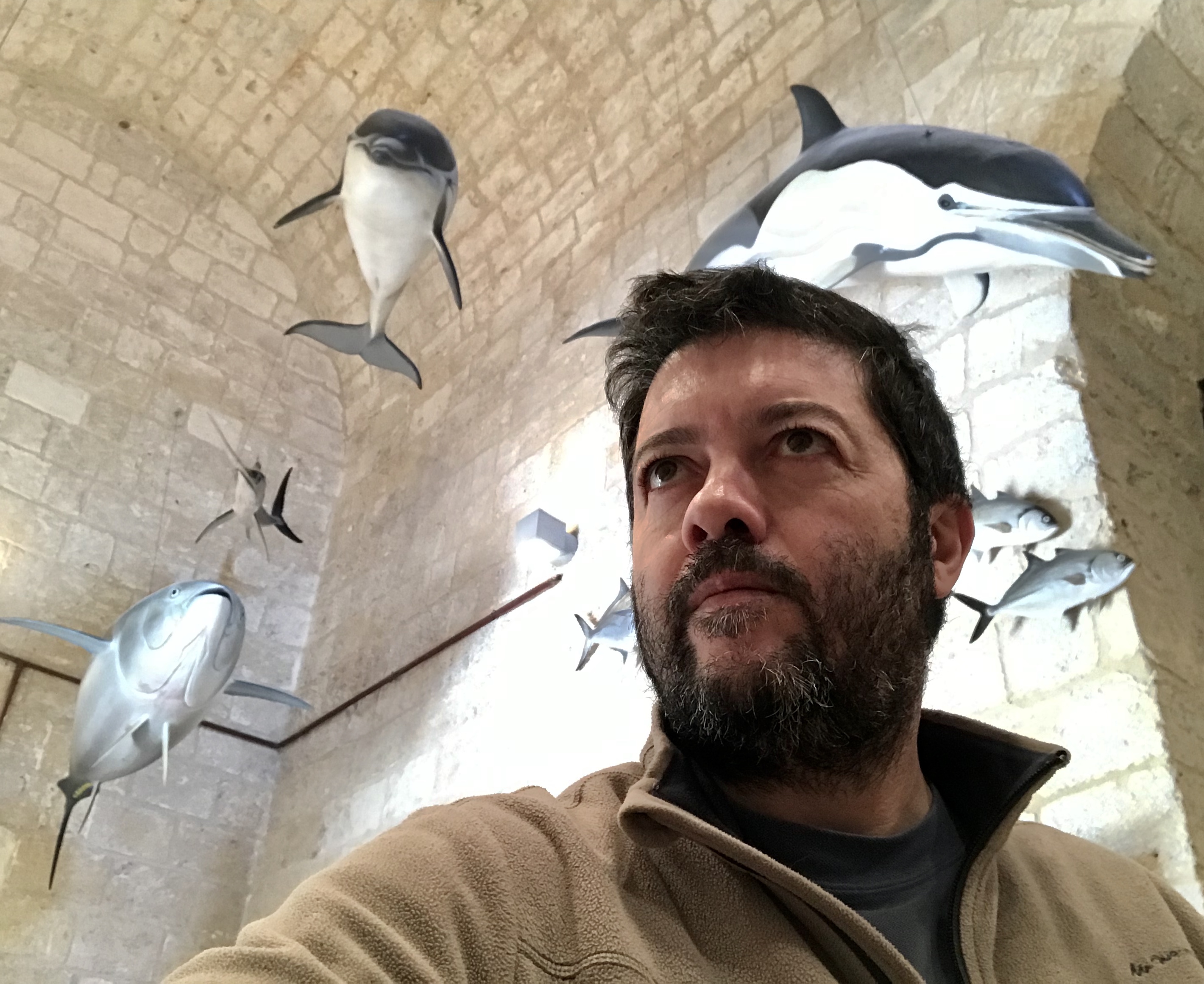 Massimiliano Lipperi