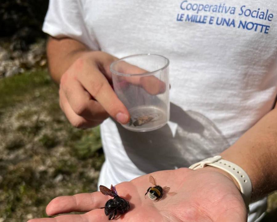 Foto Le Mille e una Notte