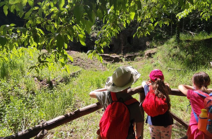 Foto Viaggiare in Natura