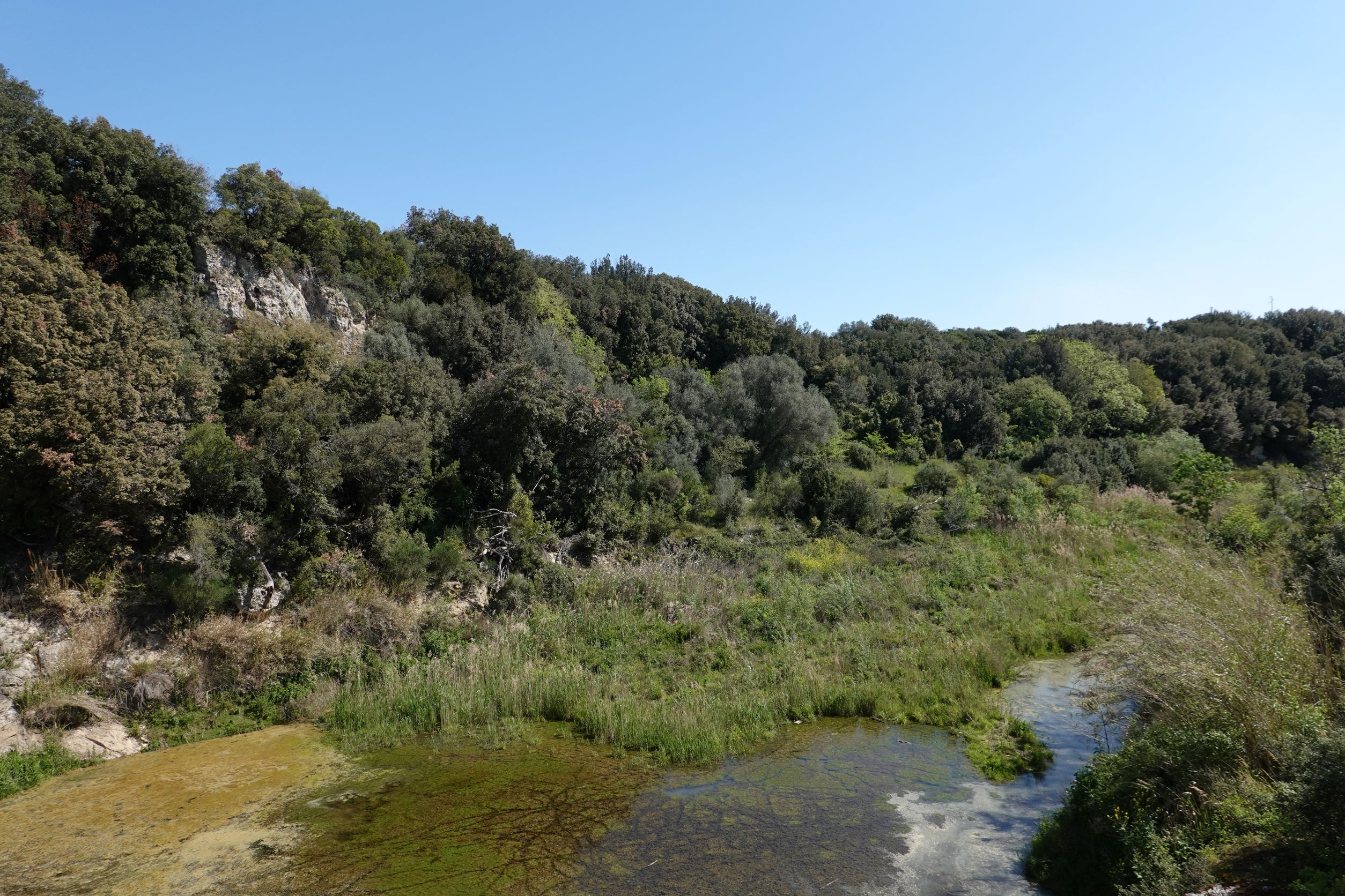 Istituito il Monumento Naturale Lago di Vulci - Torre Crognola