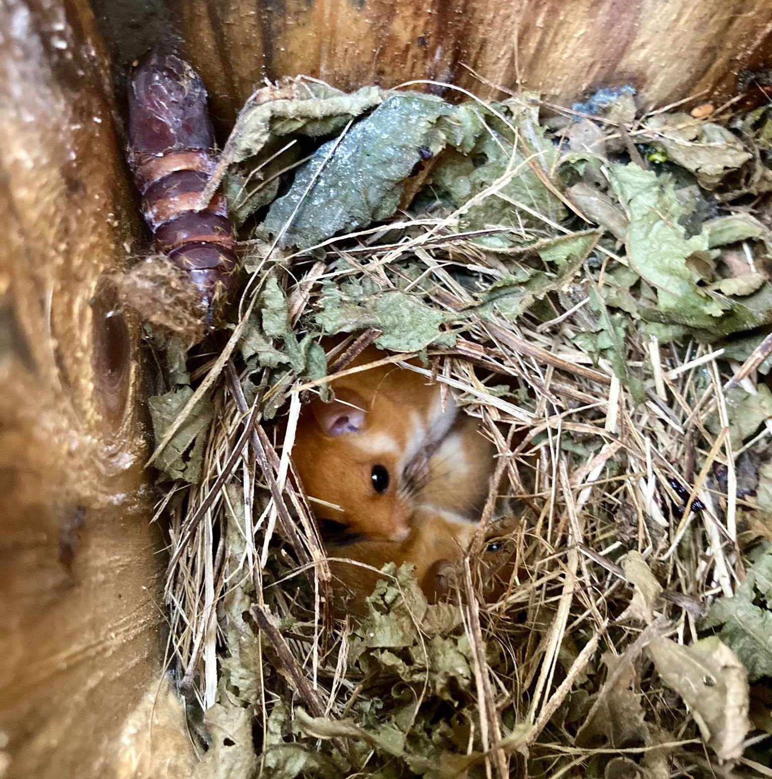 Foto di Chiara Ottavio