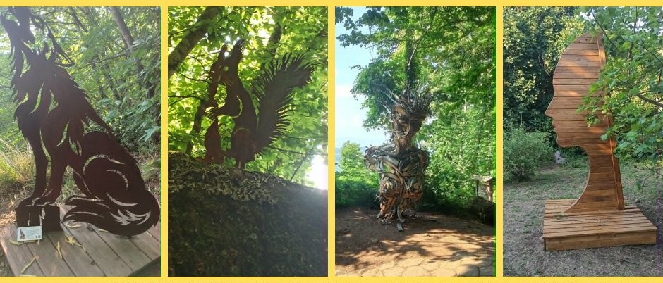 Il Museo Diffuso del Bosco